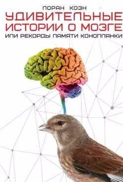 Удивительные истории о мозге, или Рекорды памя