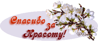 IMG 20171117 104025 0