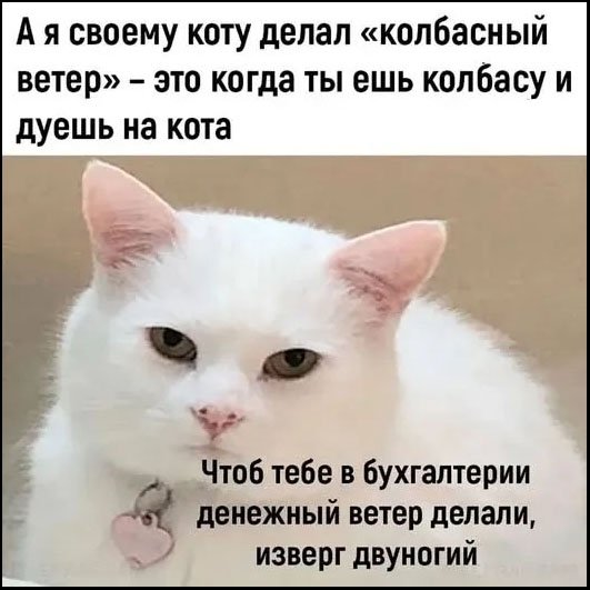 file_102582231
