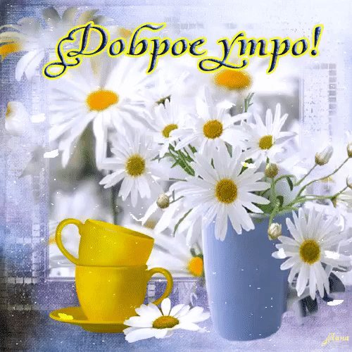 IMG 20180509 223801 21