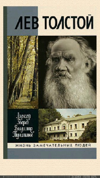 В.Туниманов. Лев Толстой bid156758 original 90497
