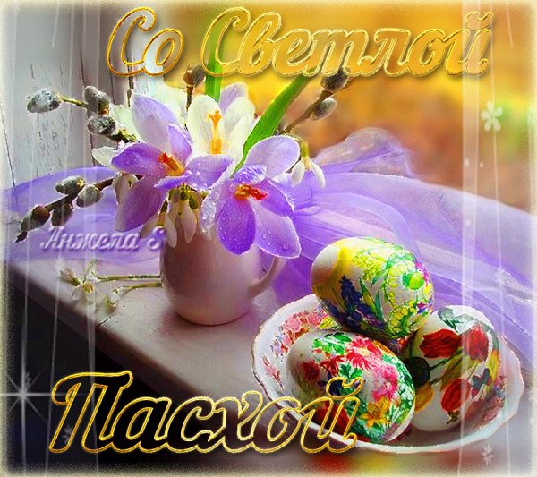 image (3)