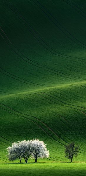 file_99318607