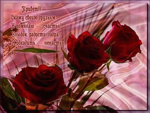 Привет