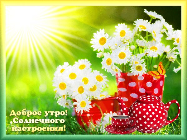 Доброго утра!Солнечного настроения!