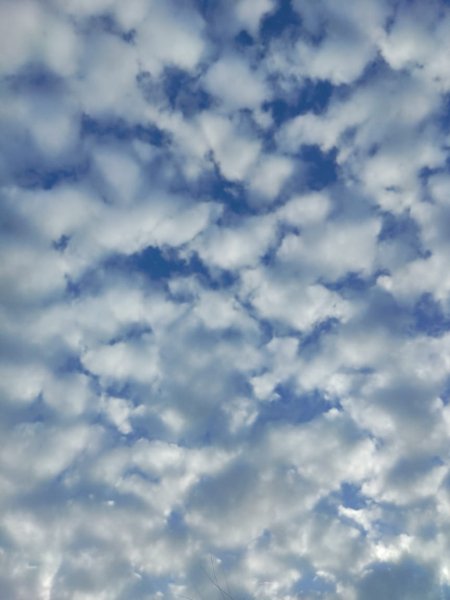 IMG-20230729-WA0012