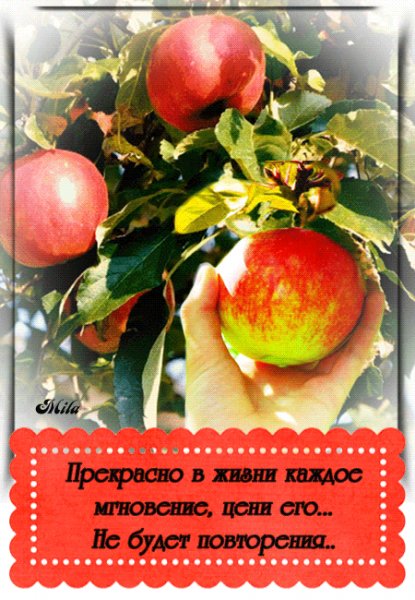 file_97531628