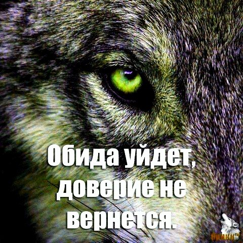 file_100491581