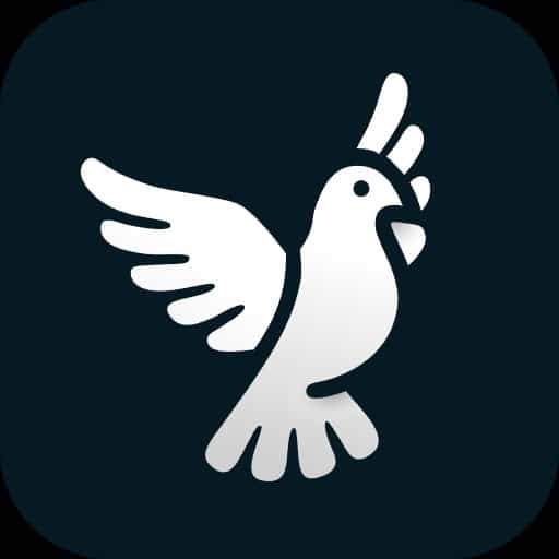 ByeByeDPI.v.1.4.6 (1)