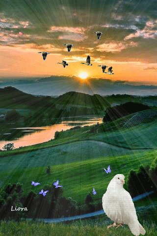 file_69280133