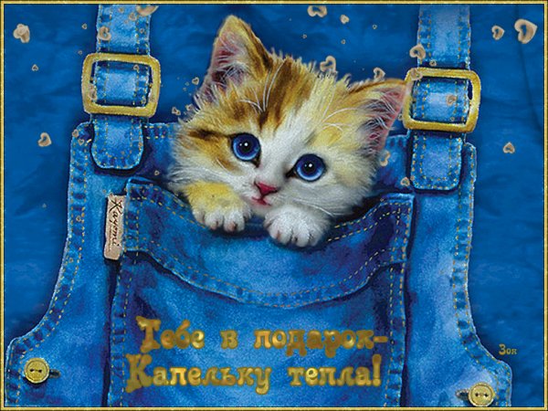Тебе в подарок капельку тепла!
