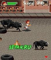 bull running 2010 240x320 samsung