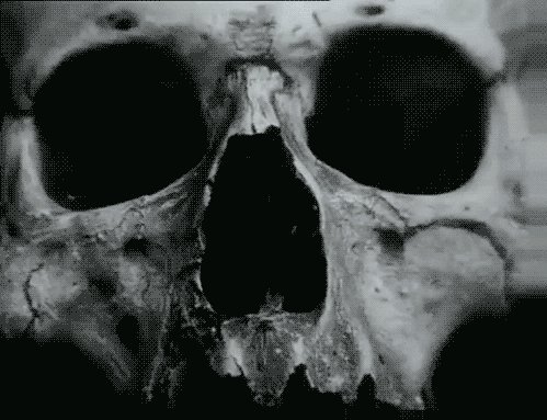 http3A2F2F25.media.tumblr.com2Ff4175293c