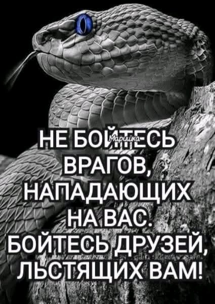 file_100285282