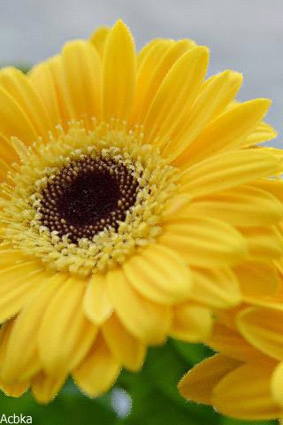 file_76462667
