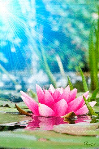 file_52741179