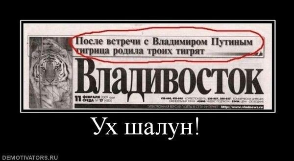08e67f800d4e3adc80d052f76f48b2d6