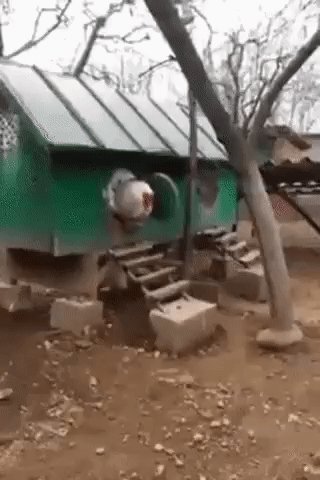 gif 1505990384