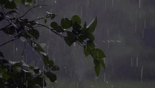 tumblr nl5f8qQ2hv1u84dnlo1 500