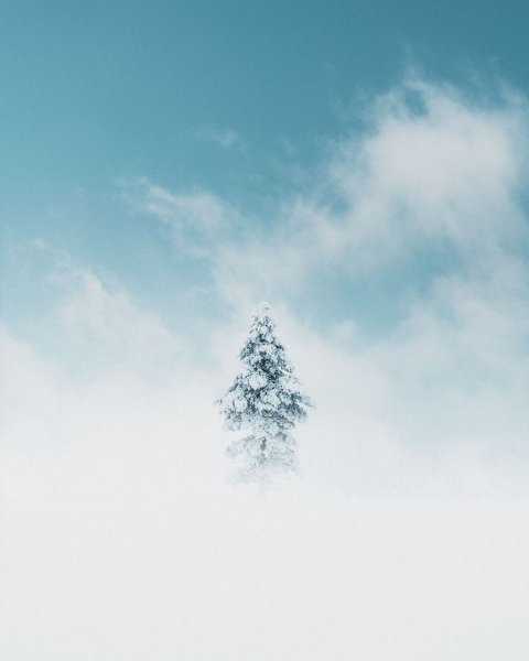 JvAkIkFdl34