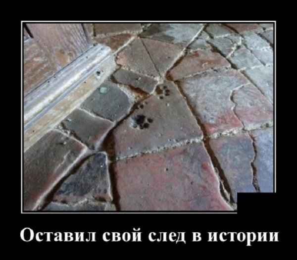 Оставил свой след в истории