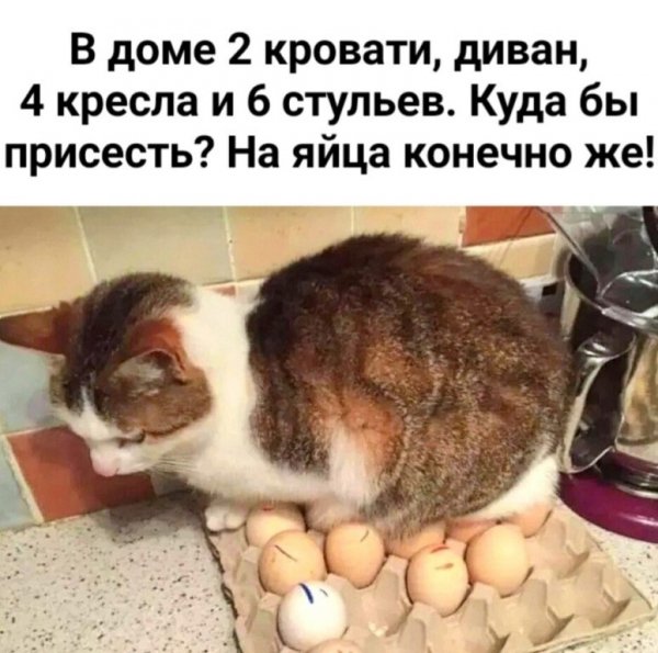 IMG 20250217 220219