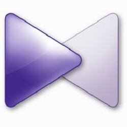The KMPlayer 3.9.1.133