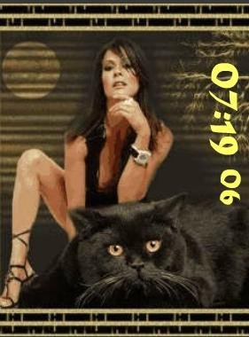 Кошечки ани