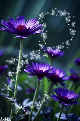 file_96889573