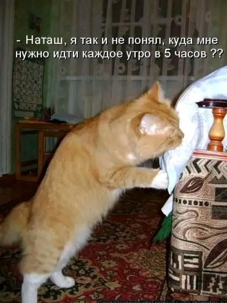file_103519792