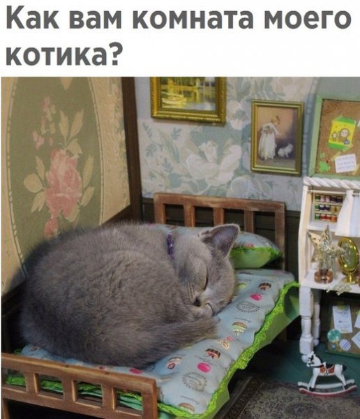 хатакота