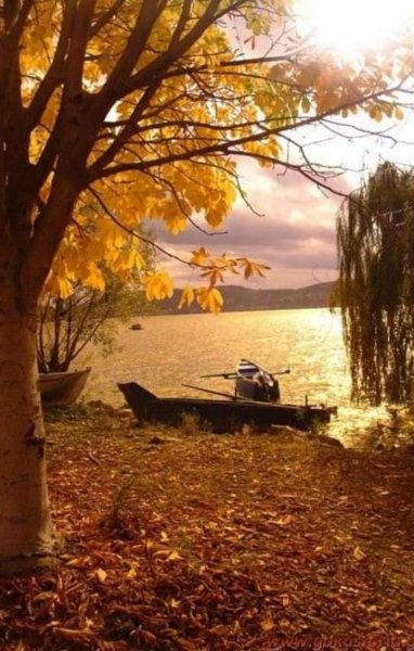 Осенний пейзаж
