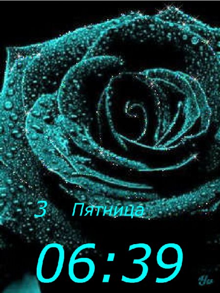 Roza
