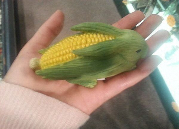 кукрузка-кролик)