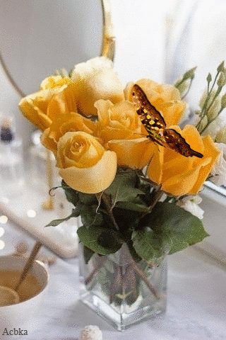file_77559036