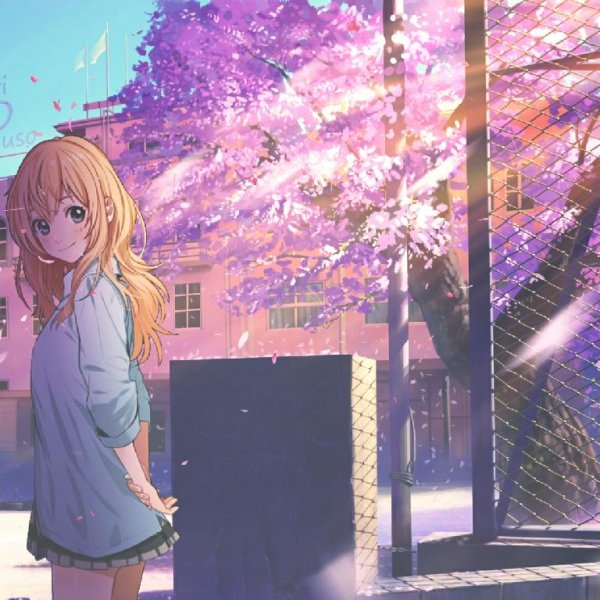 file_86541252