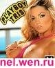 Playboytris