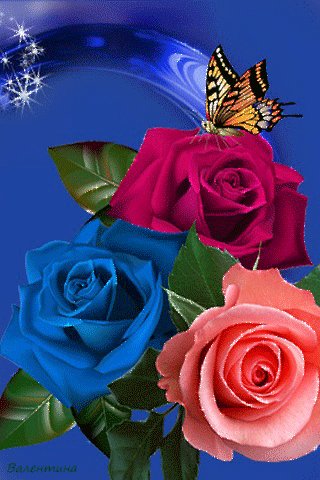 file_70556461