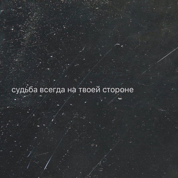 file_86376016