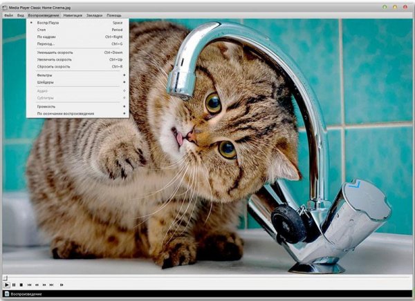 Media Player Classic v1.7.8