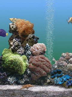 file_2971917