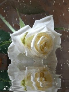 file_59463258