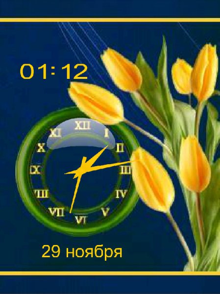 Тюльпаны