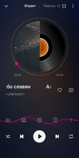 Music Player v1.02.105.1110 (100399) Mod