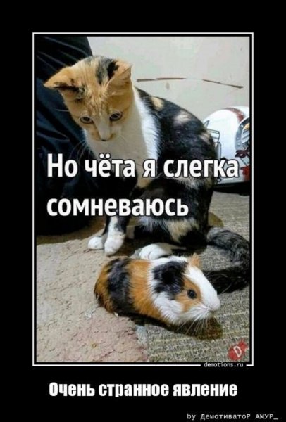 Я слегка сомневаюсь