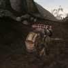 pack guar