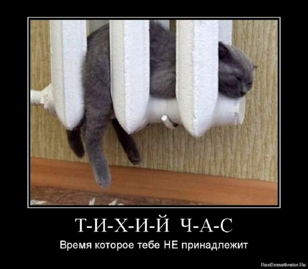Тихий час