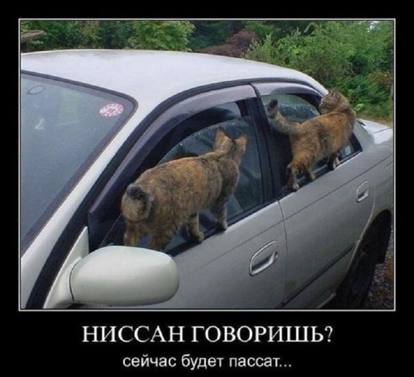Сейчас будет пассат