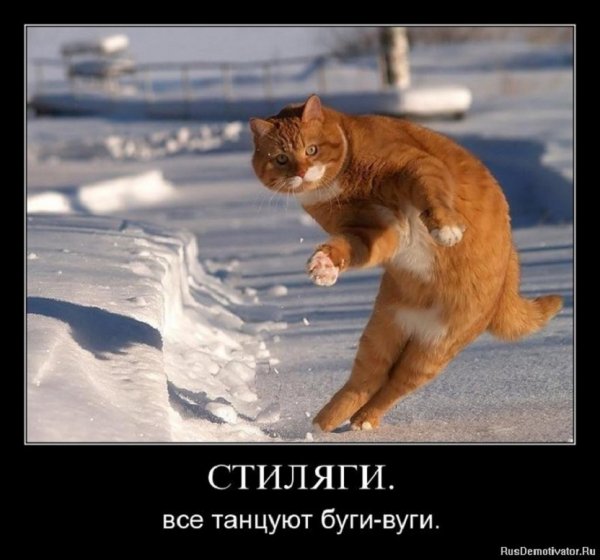 Стиляги