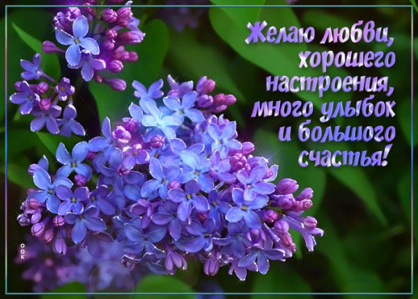 file_99153482